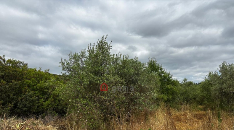 Castellón - Azuébar - 28873m2