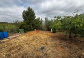 Detached villa with land for sale in Azuébar ref: TR412232 photo
