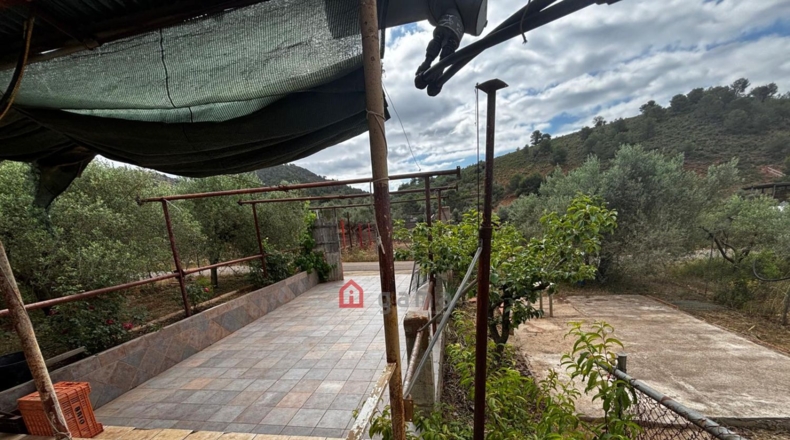 Castellón - Azuébar - 28873m2