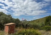 Detached villa with land for sale in Azuébar ref: TR412232 photo
