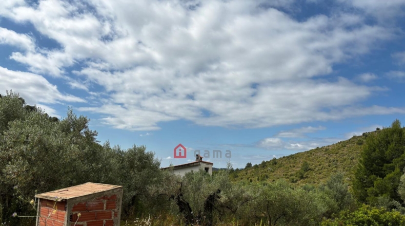 Castellón - Azuébar - 28873m2