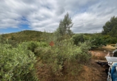 Detached villa with land for sale in Azuébar ref: TR412232 photo