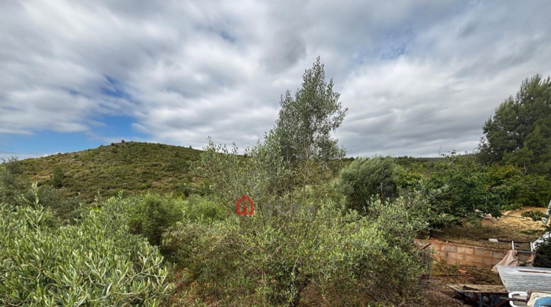Castellón - Azuébar - 28873m2