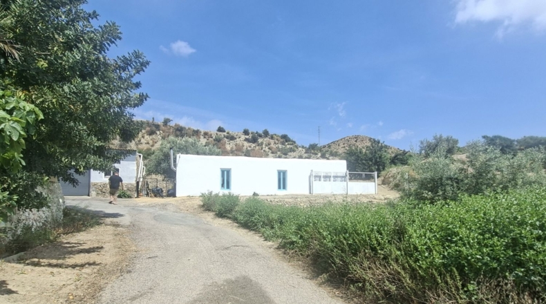 Almería - Arboleas - 2262m2