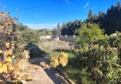 Chalet independiente con terreno en venta en L'Alfàs del Pi ref: TR364806 foto