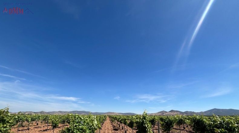 Ciudad Real - Malagón - 71497m2