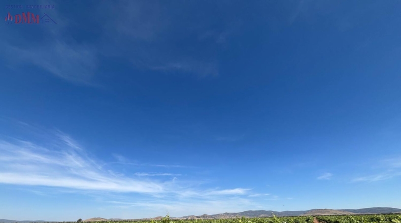 Ciudad Real - Malagón - 71497m2