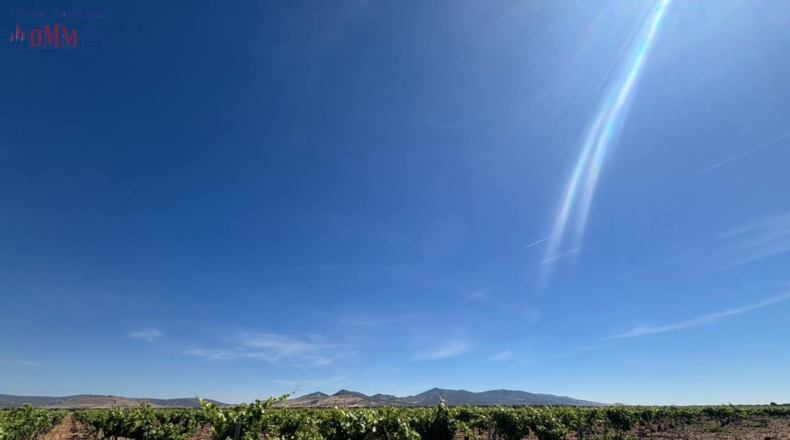 Ciudad Real - Malagón - 71497m2