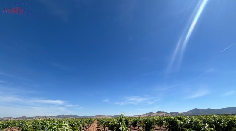 Ciudad Real - Malagón - 71497m2