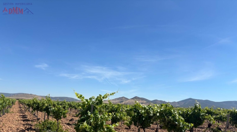 Ciudad Real - Malagón - 71497m2