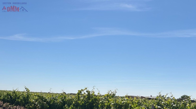 Ciudad Real - Malagón - 71497m2