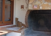 Detached villa with land for sale in Vacarisses ref: TR410714 photo