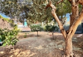 Chalet independiente con terreno en venta en Málaga ref: TR91884 foto