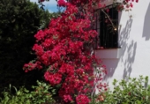Detached villa with land for sale in Carmona ref: TR412244 photo
