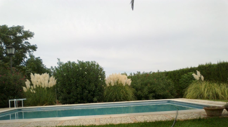 Sevilla - Carmona - 1434m2