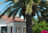 Detached villa with land for sale in Carmona ref: TR412244 photo