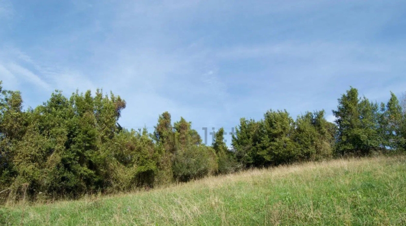 Astúries - Gijón - 2843m2
