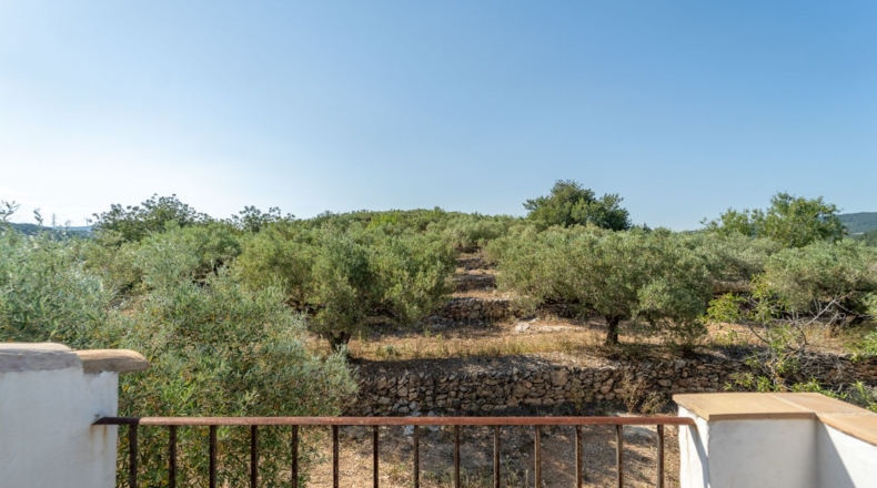 Таррагона - Tortosa - 17280m2