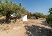 Земельный участок на продажу в городе Tortosa Фото