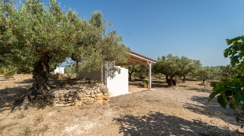 Таррагона - Tortosa - 17280m2