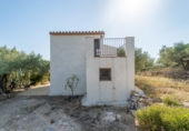 Земельный участок на продажу в городе Tortosa Фото