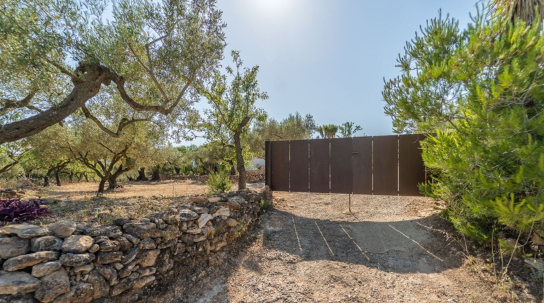Таррагона - Tortosa - 17280m2