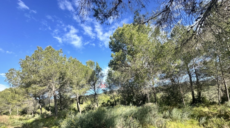 València - Estivella - 1668m2