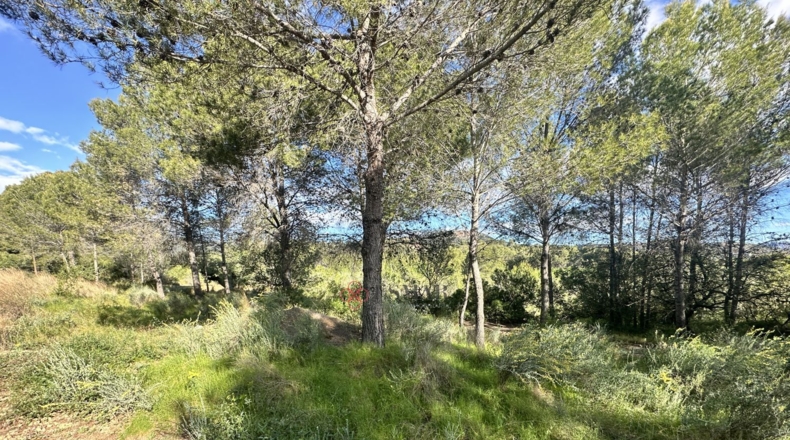 València - Estivella - 1668m2