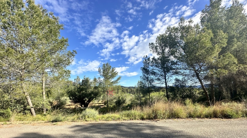 València - Estivella - 1668m2