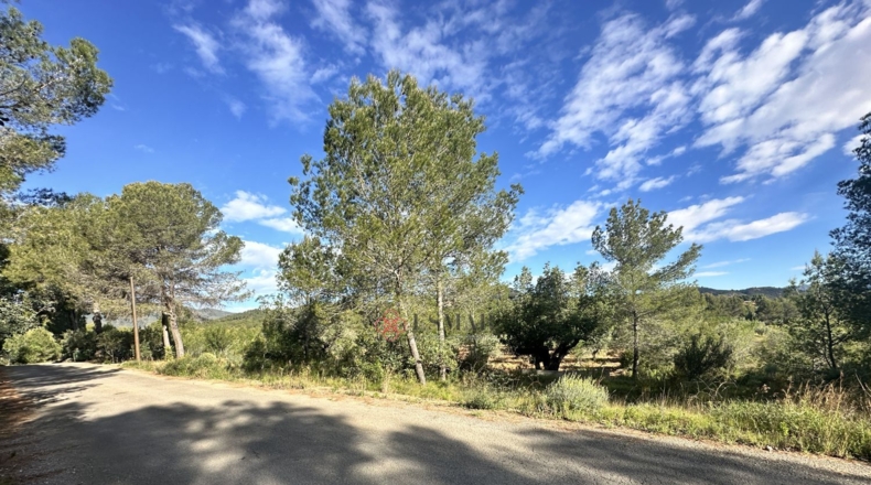 València - Estivella - 1668m2