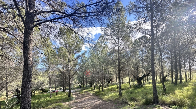 València - Estivella - 4984m2