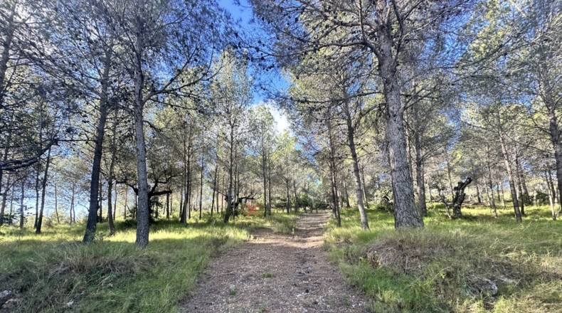 València - Estivella - 4984m2