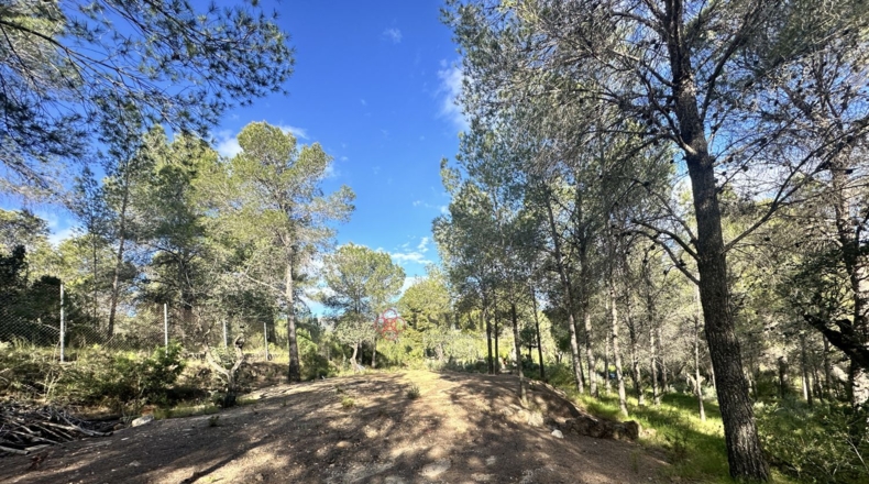 València - Estivella - 4984m2