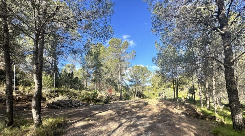 València - Estivella - 4984m2