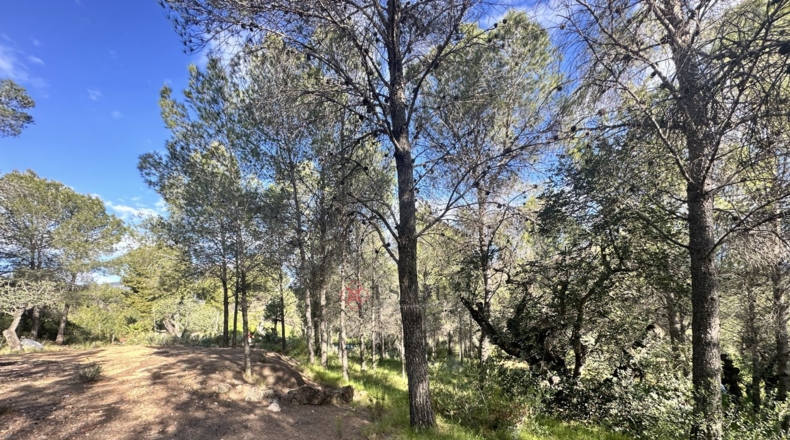 València - Estivella - 4984m2