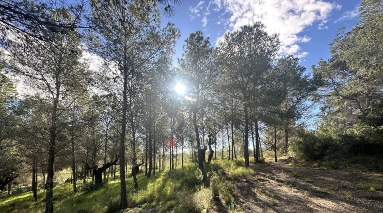 València - Estivella - 4984m2