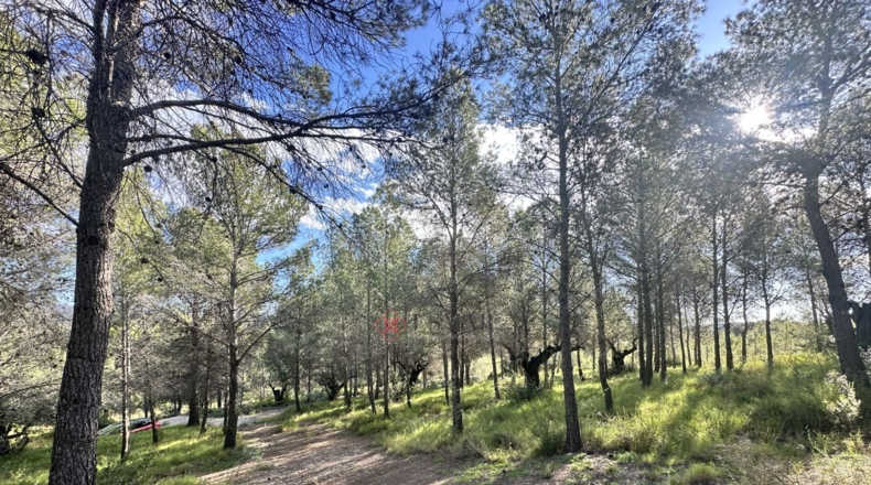 València - Estivella - 4984m2