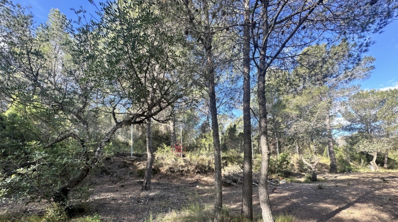València - Estivella - 4984m2