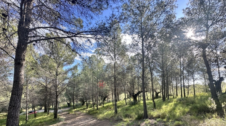 València - Estivella - 4984m2