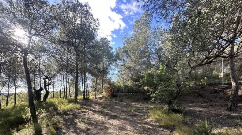 València - Estivella - 4984m2