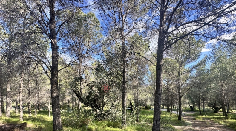 València - Estivella - 4984m2
