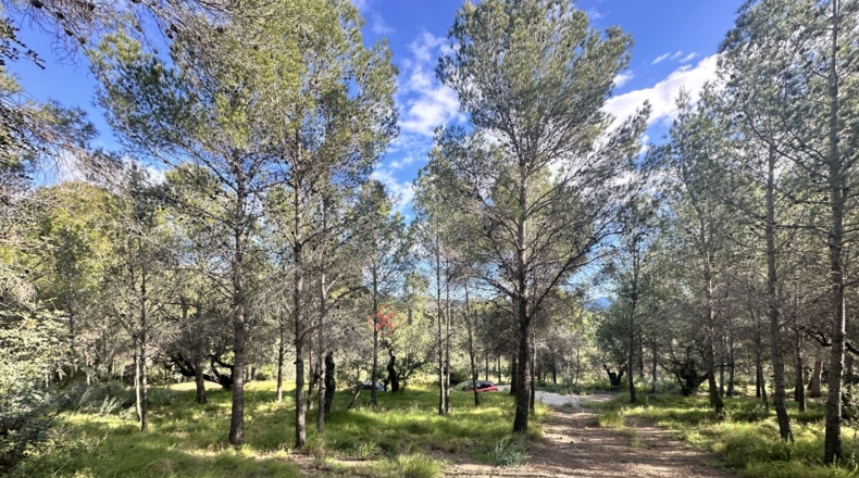 València - Estivella - 4984m2