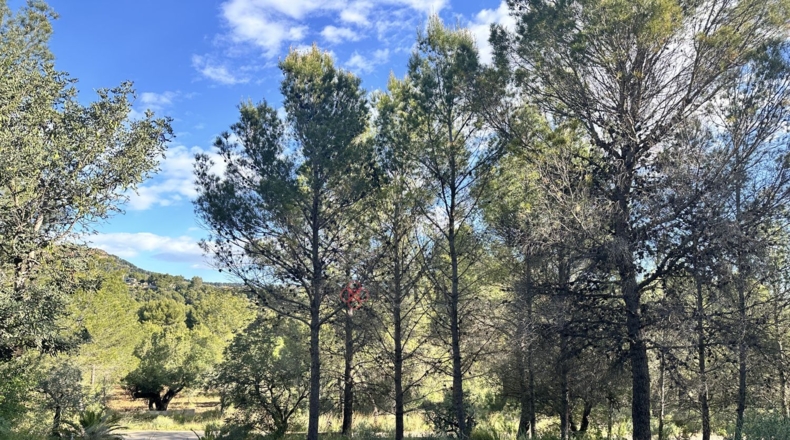 València - Estivella - 4984m2
