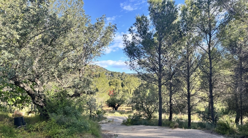València - Estivella - 4984m2