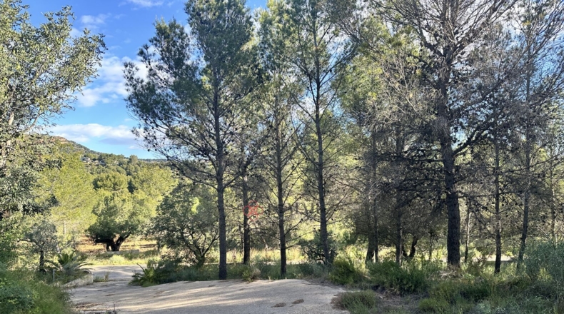 València - Estivella - 4984m2