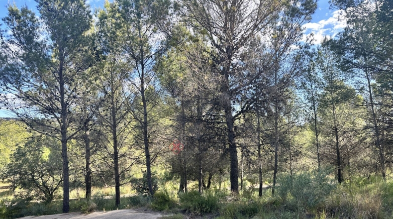 València - Estivella - 4984m2