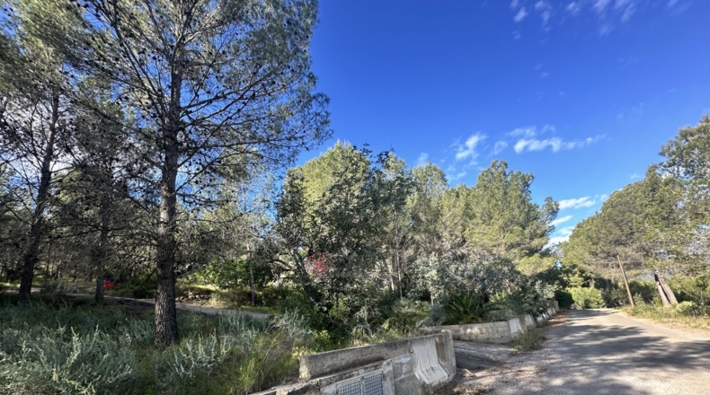 València - Estivella - 4984m2