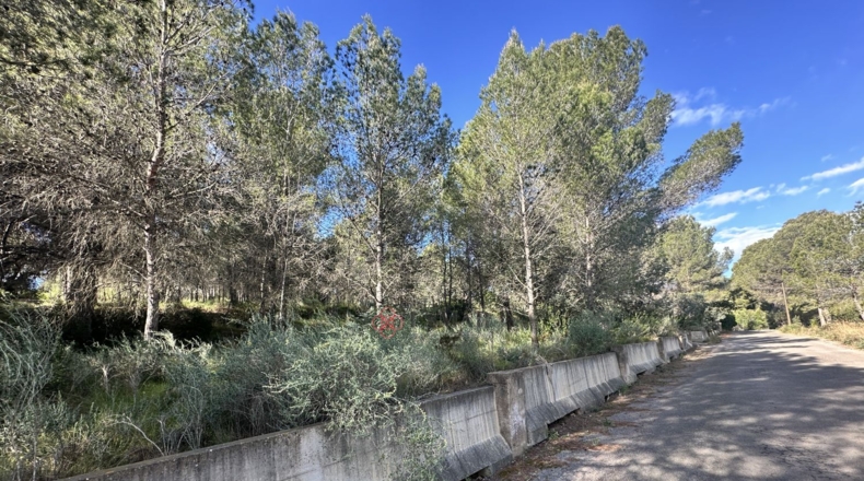 València - Estivella - 4984m2