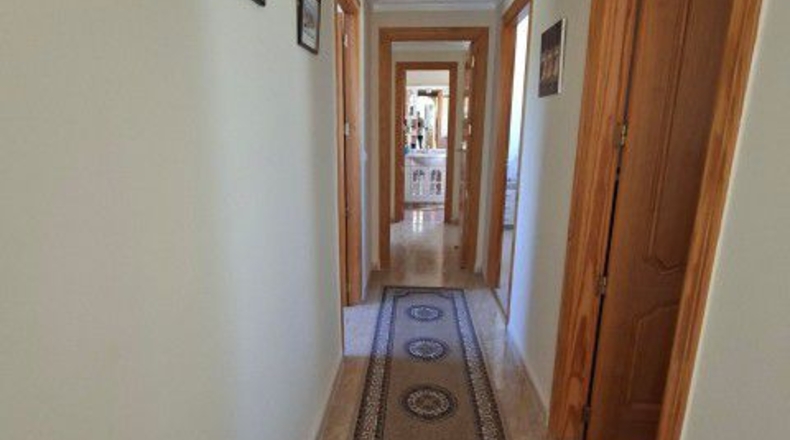 Almería - Arboleas - 620m2
