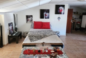 Foto 15